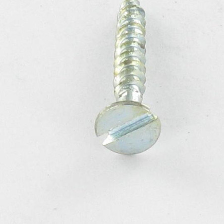 1 x Agglo houtschroeven gefreesde kop split 3X20 Wit verzinkt staal microschroeven