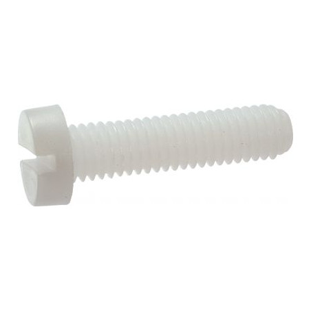1 x Metalen schroeven cilindrische kop split M10X60 natuurlijk nylon