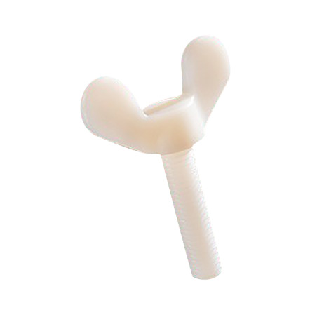 1 x Schroeven oren M6X30 natuurlijk nylon
