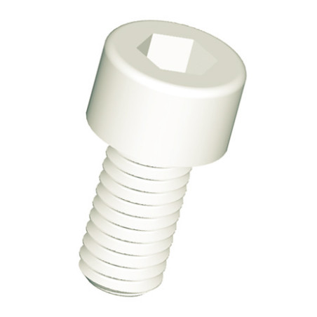 1 x Metalen schroeven CHC BTR sleutel van 5 natuurlijk nylon polyamide 6.6 M6X40
