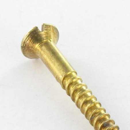 1 x Houtschroeven gefreesde kop split 3X16 Messing staal microschroeven