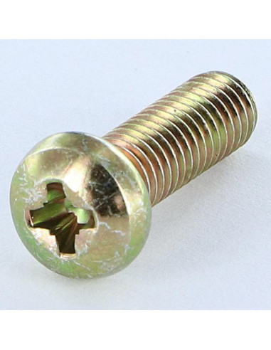 1 x Metalen schroeven bol cilinderkop Pozi PZ8...