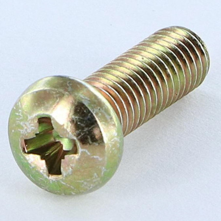 1 x Metalen schroeven bol cilinderkop Pozi PZ8 M6X38 Pozi PZ7 200 uren zoutnevel Bichromaat