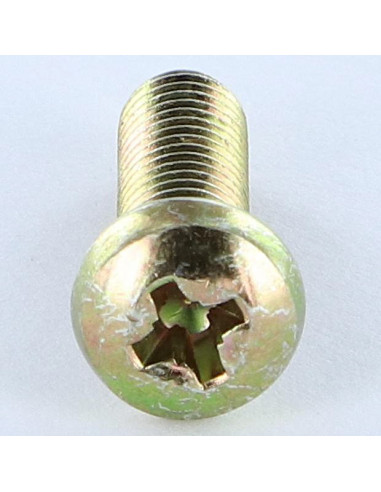 1 x Metalen schroeven bol cilinderkop Pozi PZ8...