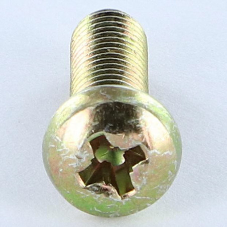 1 x Metalen schroeven bol cilinderkop Pozi PZ8 M6X38 Pozi PZ7 200 uren zoutnevel Bichromaat