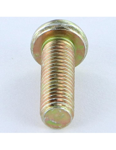1 x Metalen schroeven bol cilinderkop Pozi PZ8...