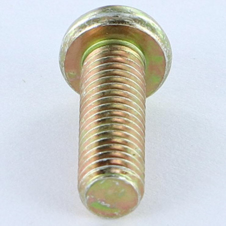 1 x Metalen schroeven bol cilinderkop Pozi PZ8 M6X38 Pozi PZ7 200 uren zoutnevel Bichromaat