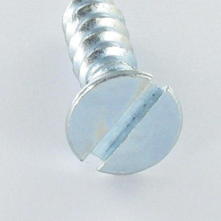 1 x Houtschroeven gefreesde kop split 3X35 Wit verzinkt staal microschroeven