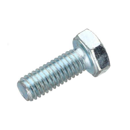 1 x Metalen schroeven zeskantkop TH M6X16 klasse 10.9 Wit verzinkt staal