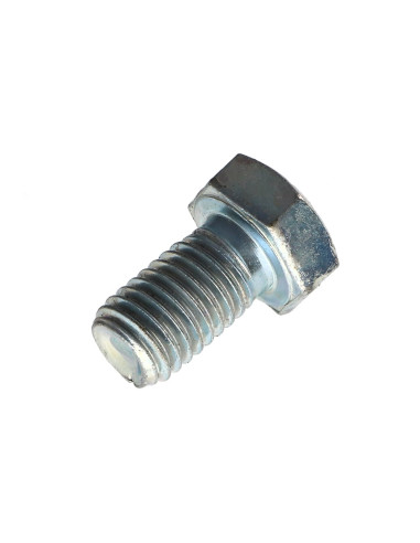 1 x Metalen schroeven zeskantkop TH M12X25...