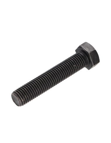 1 x Metalen schroeven zeskantkop TH M18X80...