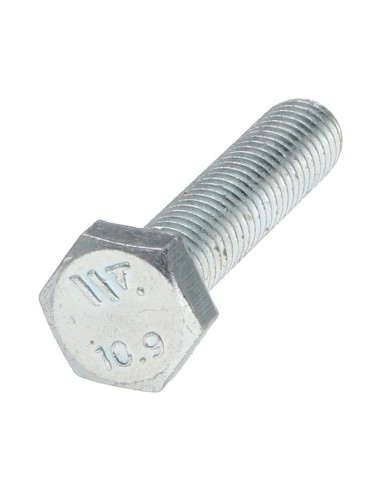 1 x Metalen schroeven zeskantkop TH M6X30...