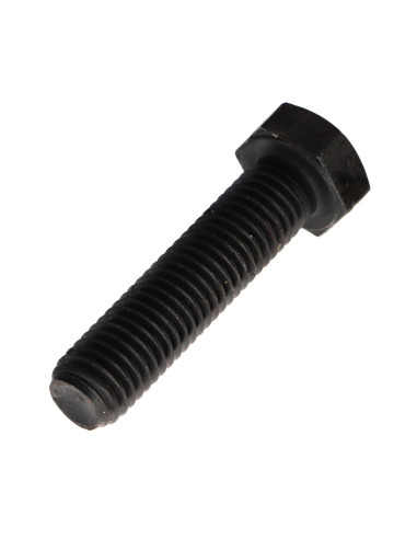 1 x Metalen schroeven zeskantkop TH M12X50...