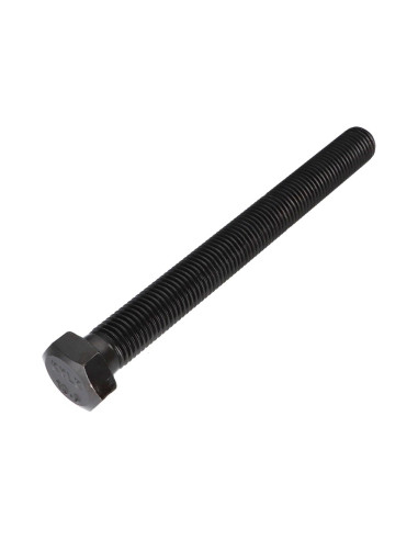 1 x Metalen schroeven zeskantkop TH M20X220...
