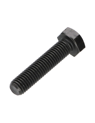 1 x Metalen schroeven zeskantkop TH M8X60...
