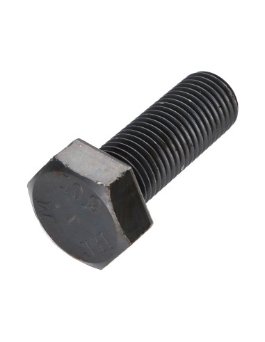 1 x Metalen schroeven zeskantkop TH M22X60...