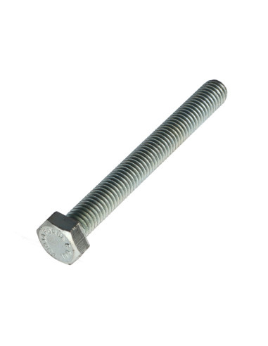 1 x Metalen schroeven zeskantkop TH M10X80...