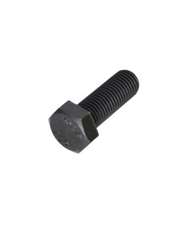 1 x Metalen schroeven zeskantkop TH M16X60...