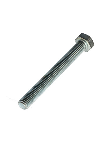 1 x Metalen schroeven zeskantkop TH M10X80...