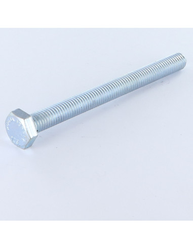 1 x Metalen schroeven zeskantkop TH M12X100...