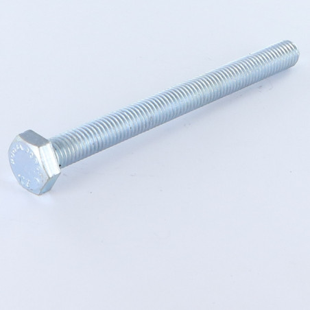 1 x Metalen schroeven zeskantkop TH M12X100 klasse 10.9 Wit verzinkt staal