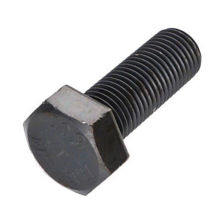 1 x Metalen schroeven zeskantkop TH M24X50 klasse 10.9 Ruw staal