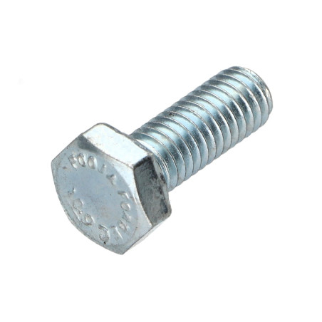 1 x Metalen schroeven zeskantkop TH M6X20 klasse 10.9 Wit verzinkt staal