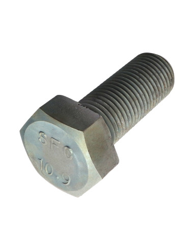 1 x Metalen schroeven zeskantkop TH M39X100...