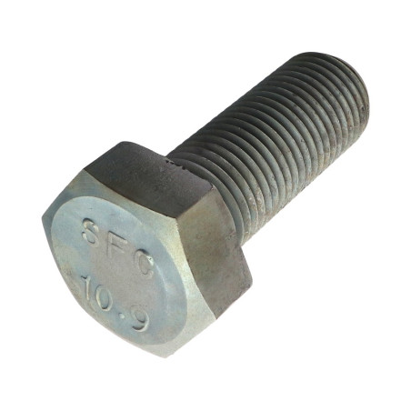 1 x Metalen schroeven zeskantkop TH M39X100 klasse 10.9 Ruw staal