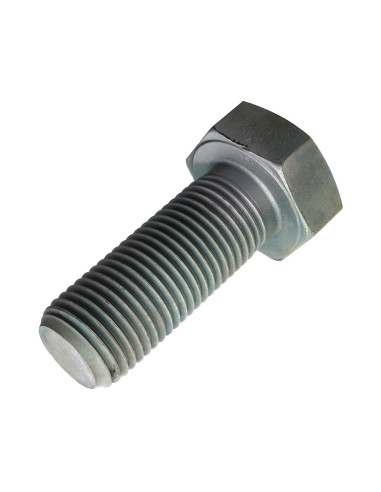 1 x Metalen schroeven zeskantkop TH M39X100...