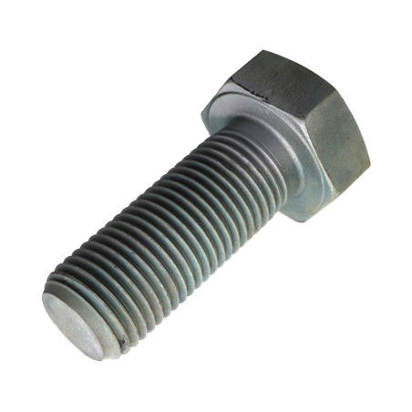 1 x Metalen schroeven zeskantkop TH M39X100 klasse 10.9 Ruw staal