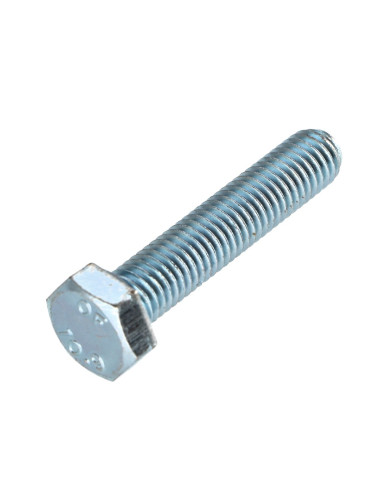 1 x Metalen schroeven zeskantkop TH M8X60...