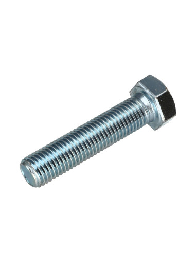 1 x Metalen schroeven zeskantkop TH M16X50...