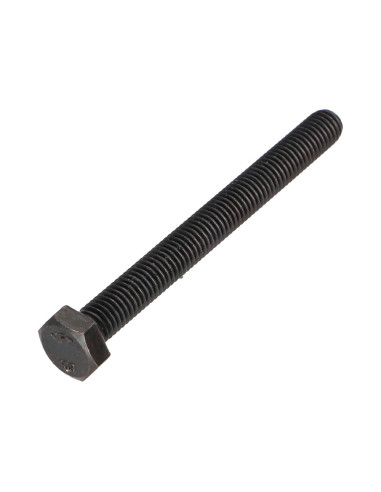 1 x Metalen schroeven zeskantkop TH M8X70...