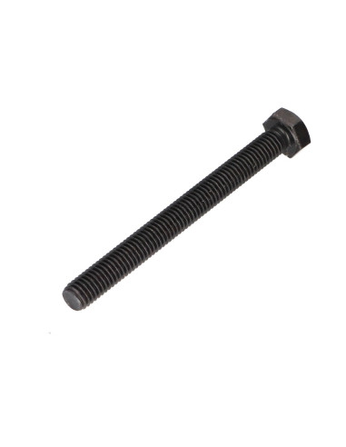 1 x Metalen schroeven zeskantkop TH M8X70...