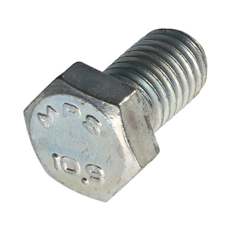 1 x Metalen schroeven zeskantkop TH M12X20 klasse 10.9 Wit verzinkt staal