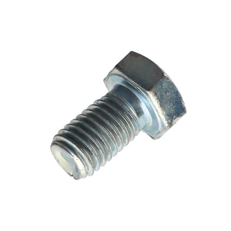 1 x Metalen schroeven zeskantkop TH M12X20 klasse 10.9 Wit verzinkt staal