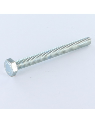 1 x Metalen schroeven zeskantkop TH M20X80...