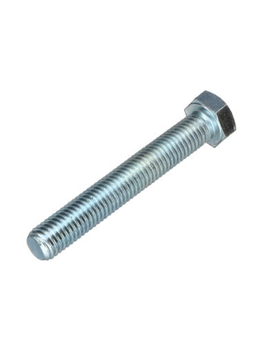 1 x Metalen schroeven zeskantkop TH M12X70...