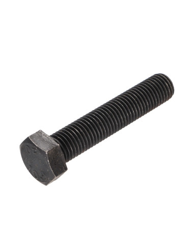 1 x Metalen schroeven zeskantkop TH M20X80...