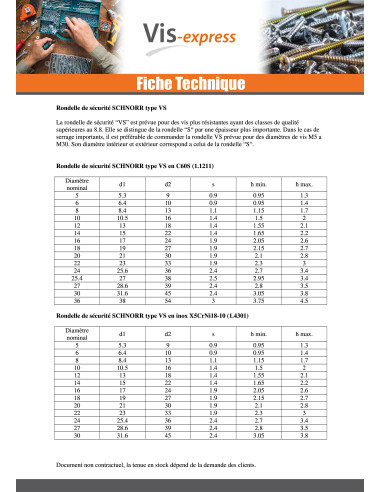 1 x Sluitring SCHNORR VS M10X16X2 423100 Wit...