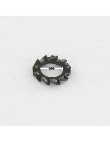 1 x Getande ring met AZ uitwendige tanden M6...