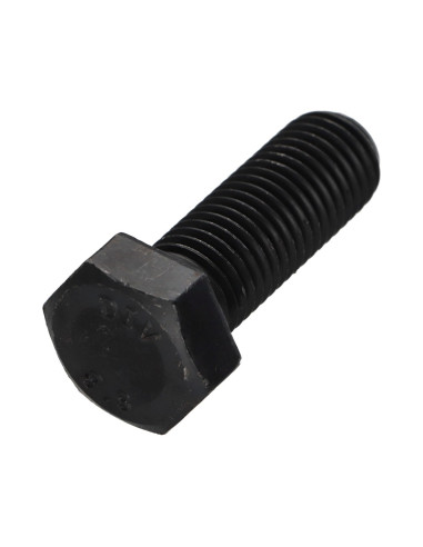 1 x Metalen schroeven zeskantkop TH M16X60...