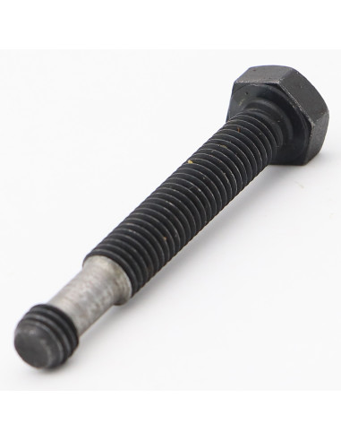 1 x Metalen schroeven zeskantkop TH M8X55...