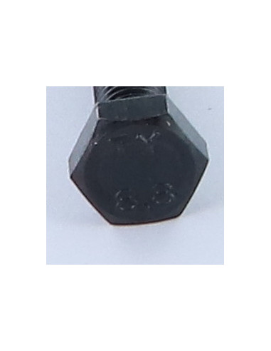 1 x Metalen schroeven zeskantkop TH M8X55...