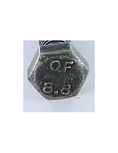 1 x Metalen schroeven zeskantkop TH M10X100...