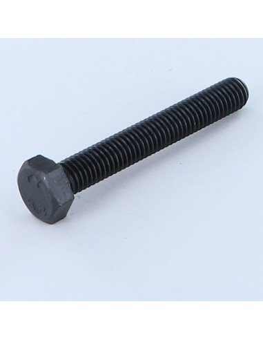 1 x Metalen schroeven zeskantkop TH M10X60...