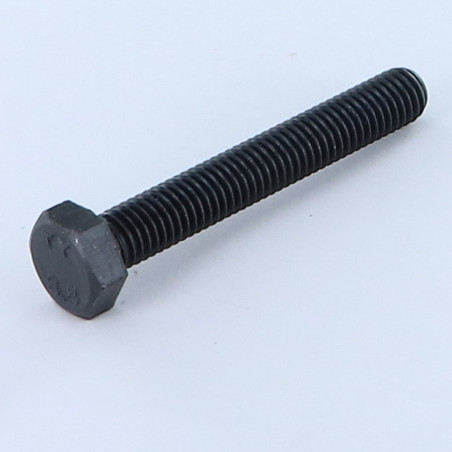 1 x Metalen schroeven zeskantkop TH M10X80 Klasse 8.8 Ruw staal