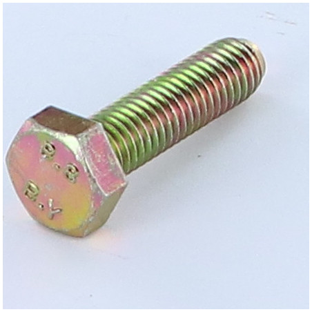 1 x Metalen schroeven zeskantkop TH M10X25 Klasse 8.8 Bichromaat