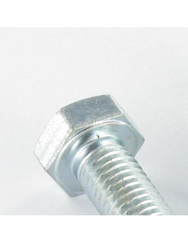 1 x Metalen schroeven zeskantkop TH M3X30...